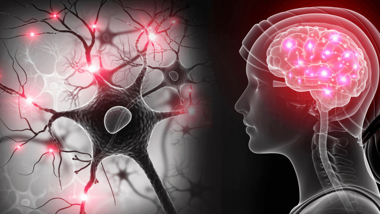 CNS Disorders Therapeutics Market to Grow Owing to Rising Neurodegenerative Cases