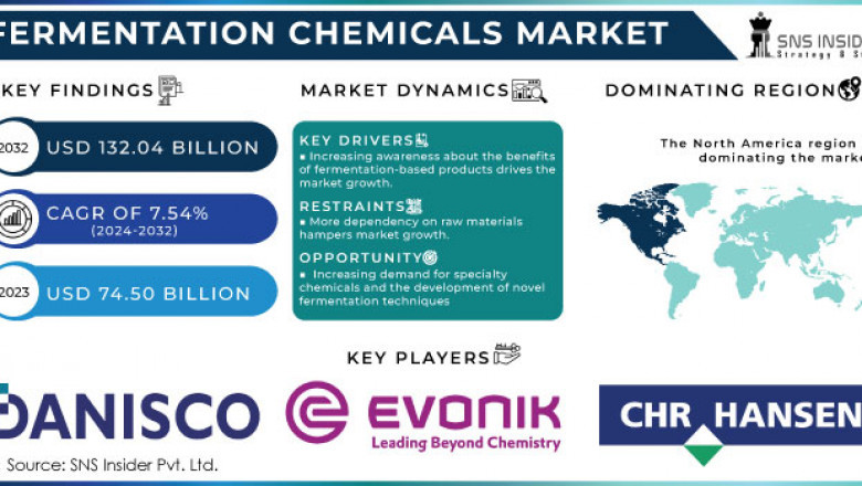 Fermentation Chemicals Market Trends and Market Opportunities 2024-2032