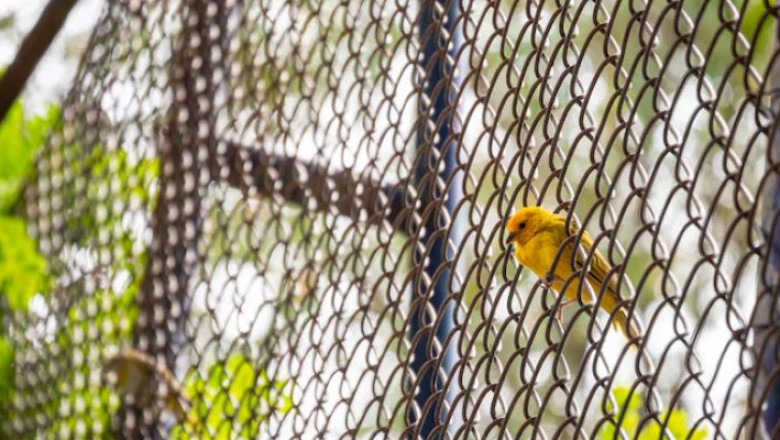 High-Quality Spring Steel Wire Mesh in Chennai