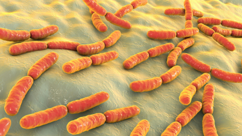 How Probiotics Can Transform Health: From Gut Balance to Disease Management