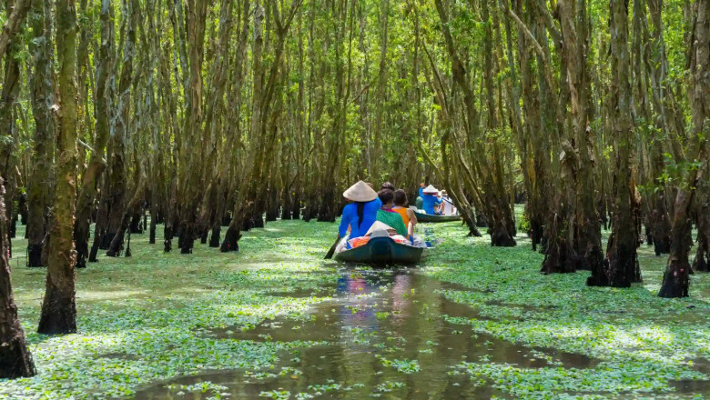 North vs South Vietnam: Which Part Should You Explore First?