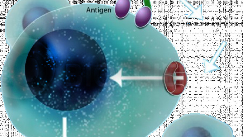 Small Vesicles, Big Possibilities: Exosomes in Cancer Research