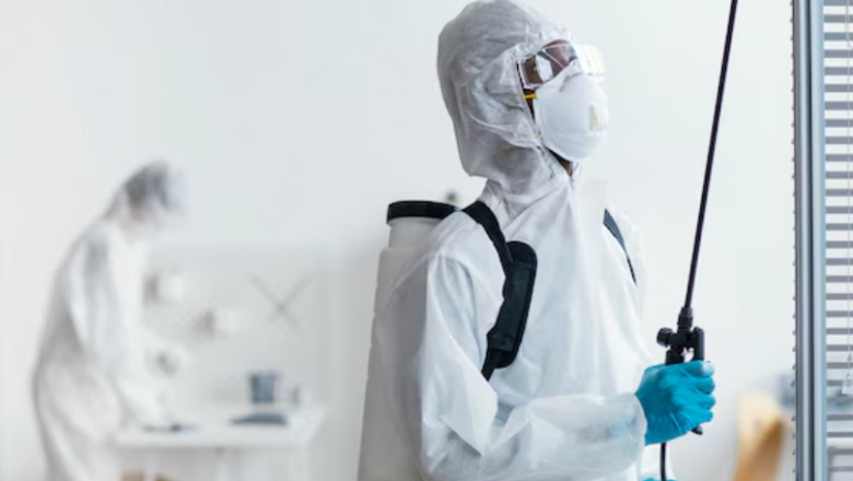What Should You Expect from a Mosquito Treatment Service?