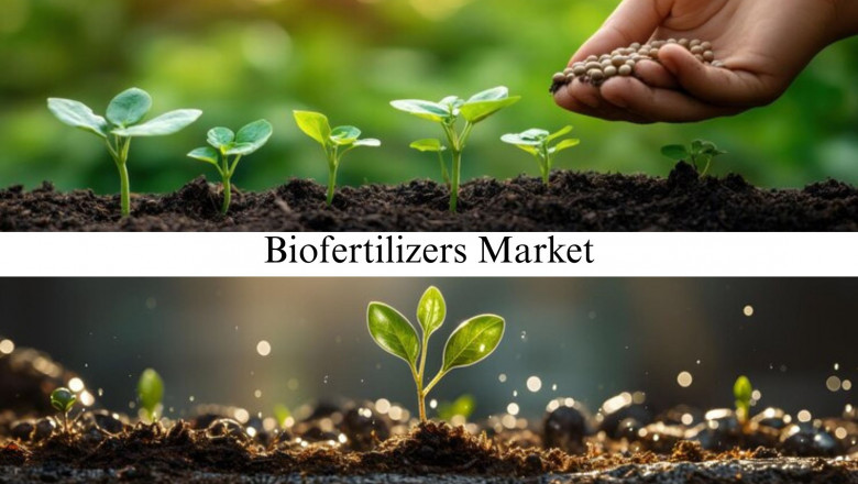 Biofertilizers Market Size, Share, Global Market Overview and Forecast Through 2032