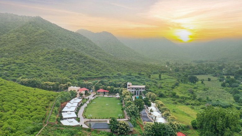 Birdwatching in Udaipur: Best Spots and Species for Nature Enthusiasts