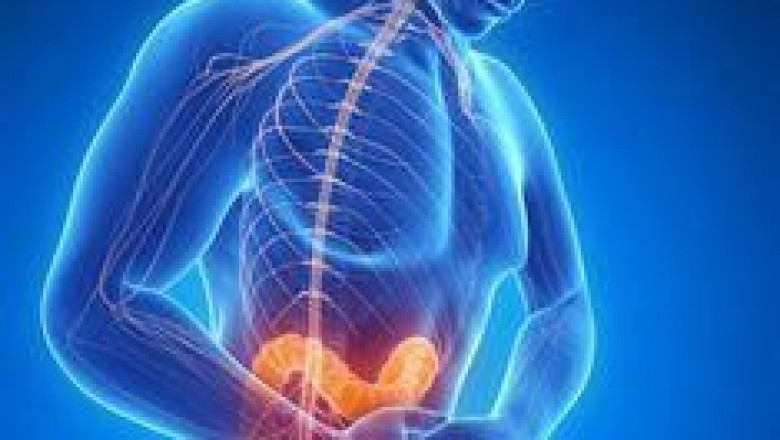 Inflammatory Pain Therapeutic Market is Estimated to Witness Growth Through Nanotechnology Delivery