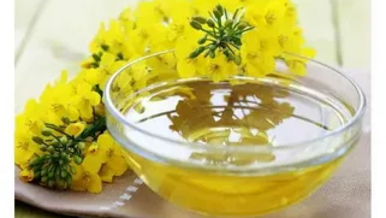 Rapeseed Oil Market Intelligence Driving Growth, Trends, Innovations, and Competitive Analysis Globally