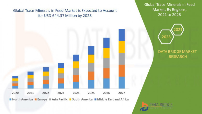 Trace Minerals in Feed Market Size, Share, Trends, Growth Opportunities and Competitive Outlook