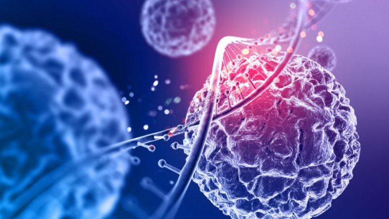 United States T-Cells Therapy Market 2030