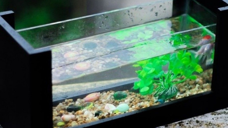 Aquarium Water Treatment Market by Product Type: Conditioners, Clarifiers, and pH Balancers