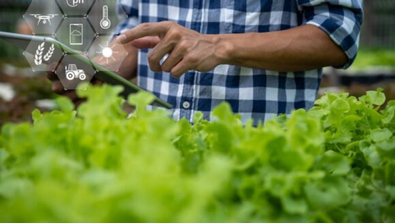 Augmented Reality in Agriculture Market: Cultivating the Future of Farming