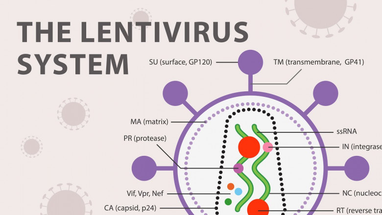 Lentiviral Vectors Market Set to Surge on Next-Gen Gene Editing