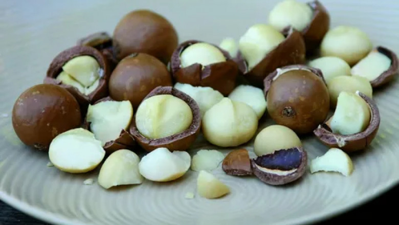 Macadamia Market Performance Boosted by Rising Demand for Plant-Based and Dairy-Free Alternatives