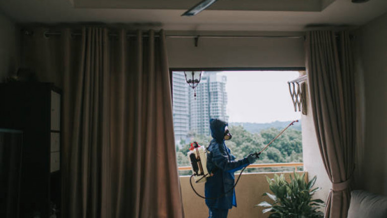 Termite Control: Protecting Your Property from Silent Destroyers