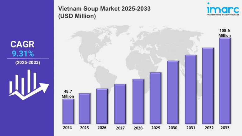 Vietnam Soup Market Share, Trends, Growth, Size, Analysis, Forecast 2025-2033