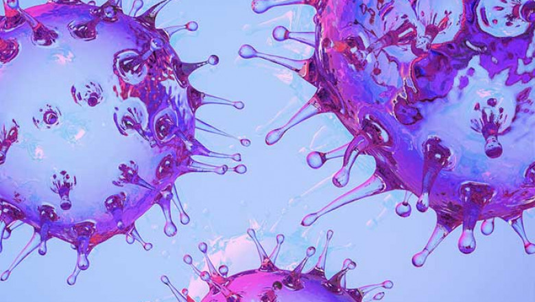 Immunocompetent Syngeneic Mouse Models for Preclinical Studies
