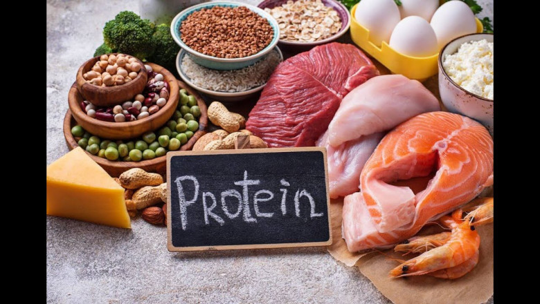 Protein A Resin Market to Witness Growth Owing to Chromatography Automation