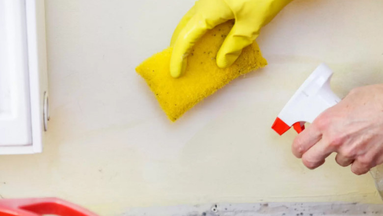 Why Hiring a Deep Cleaning Company Can Transform Your Home or Business