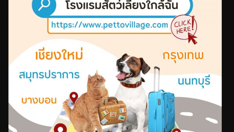 ค้นพบเว็บจอง โรงแรมสัตว์เลี้ยง ที่ปลอดภัยและน่าเชื่อถือ ใน Petto Village