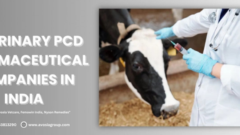 Veterinary PCD Pharmaceutical Companies in india