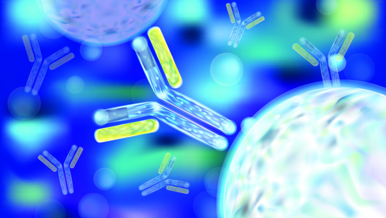Antibodies Contract Manufacturing Market to Witness Growth via Bioprocess Automation