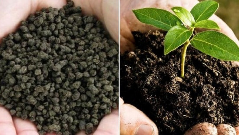 Biofertilizers Market Intelligence Reveals Growth Potential in Eco-Conscious and Organic Farming Practices Worldwide