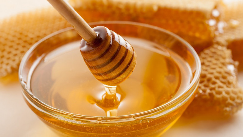Bulk Organic Wild Forest Honey Supplier & Manufacturer