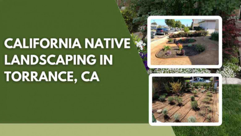 California Native Landscaping in Torrance, CA - Chaman INC