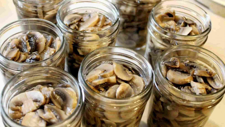 Canned Mushroom Market Intelligence Unveils Key Consumer Insights and Emerging Growth Opportunities Globally