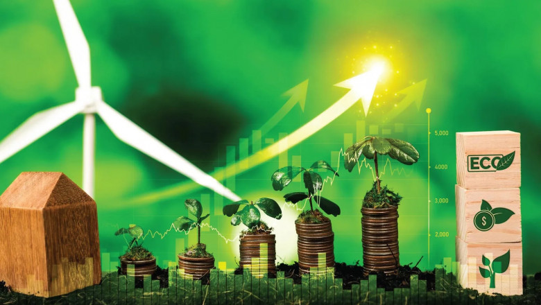 Energy Transition and Spending Patterns in Developing Nations
