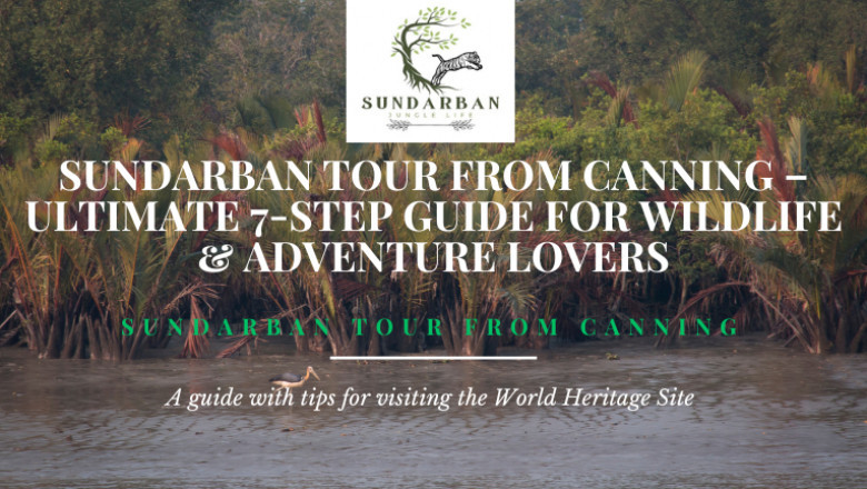 Explore the Mystical Sundarban: Your Ultimate Sundarban Tour from Canning Guide