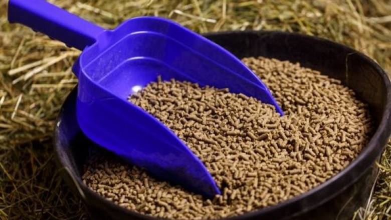 Feed Acid Market is Estimated to Witness Growth Owing to Microencapsulation Technology