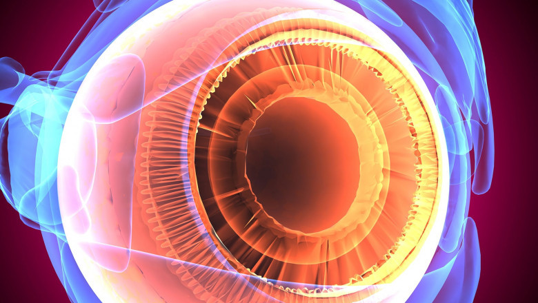 Gene Therapy in Ophthalmology Market to Surge Due to Vector Advancements