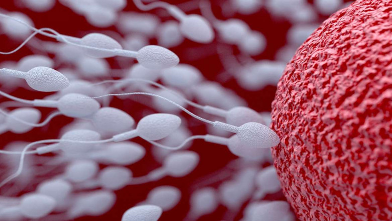 Hyperuricemia Therapeutic Market to Surge Owing to Novel Biologic Therapies