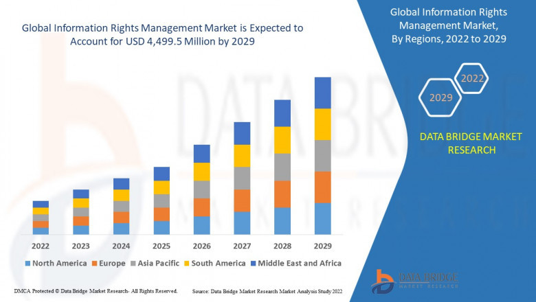 Information Rights Management Market Size, Share, Trends, Growth Opportunities and Competitive Outlook