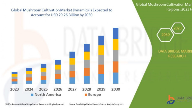 Mushroom Cultivation Market: Cultivating Growth with Rising Demand for Sustainable and Nutrient-Rich Food Sources