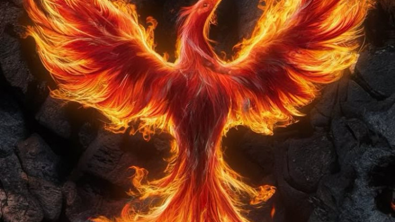 Phoenix in the Feed: Rising from a Cancel-Culture Storm