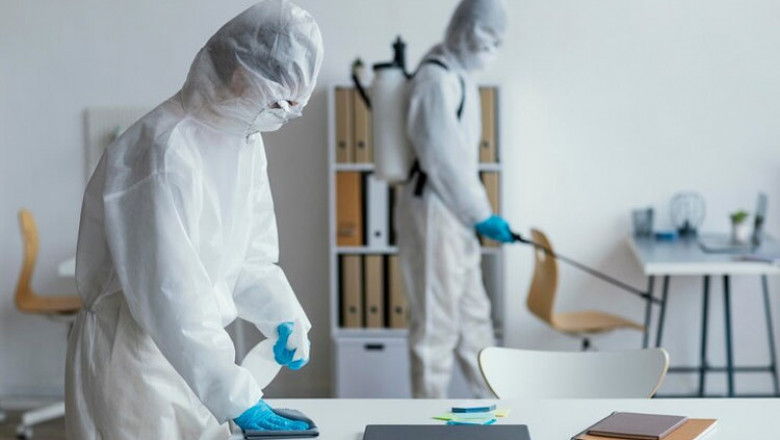 Professional Ant Pest Control Services in Ajman, UAE – Al Ameen Pest Control