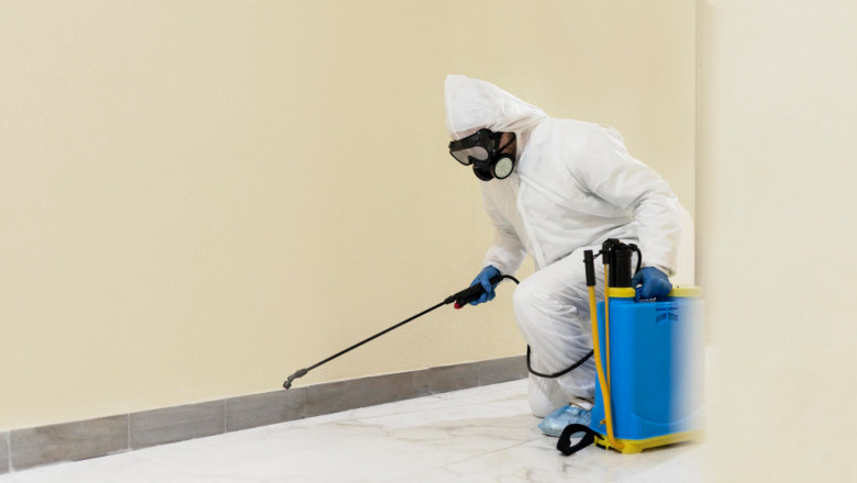 Sustainable Solutions in the Molluscicides Market Industry: Market Insights 2025