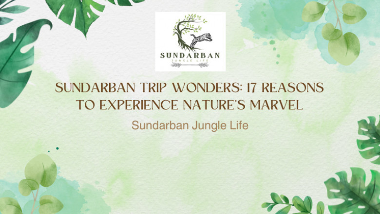 10 Must-Know Tips for Your Sundarban Trip in 2025: Explore the Wilderness Like a Pro