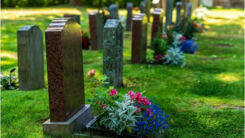 7 Must-Know Facts About Central Monument Haughton