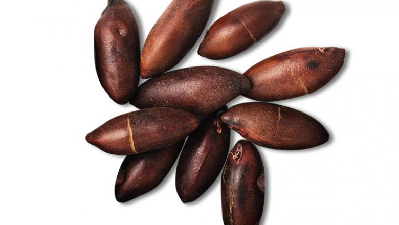 Baru Nuts Market Benefits from Growing Awareness of Nutritional Benefits and Antioxidant Properties