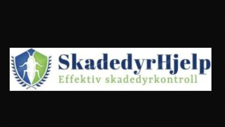Eksperter på skadedyrbekjempelse – Skadedyrhjelp.no hjelper deg