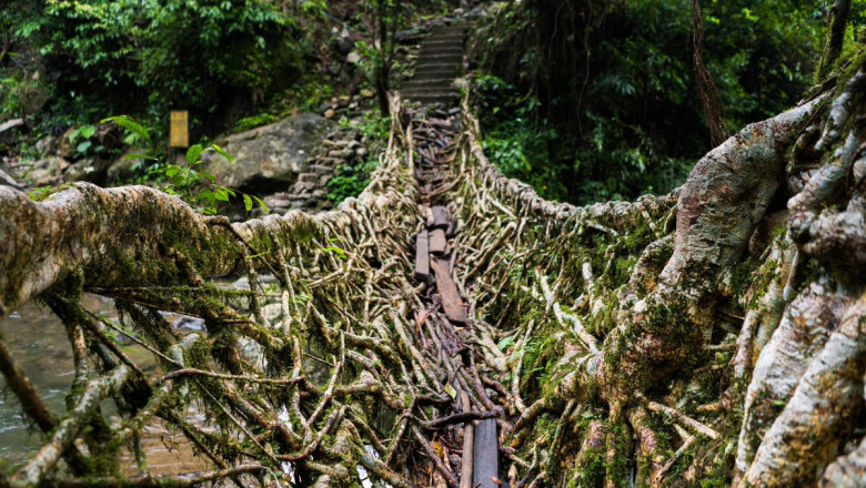 Explore the Enchanting Double Decker Living Root Bridge