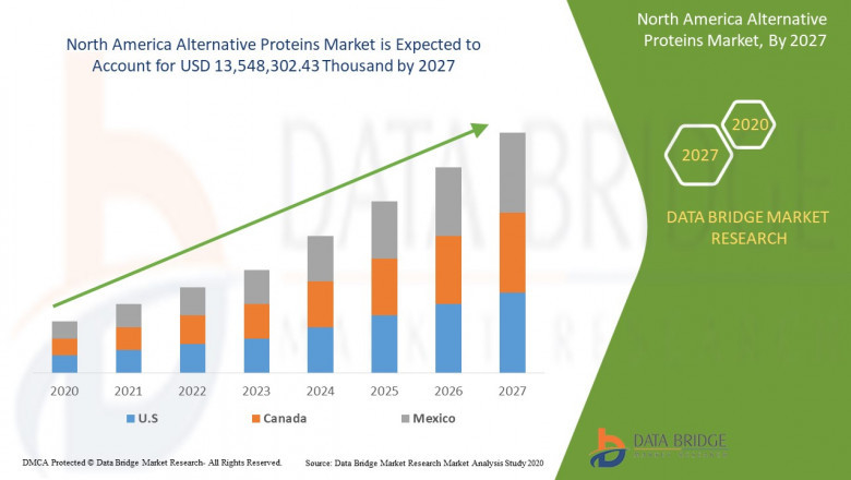 North America’s Alternative Proteins Market Surges as Consumers Embrace Plant-Based Lifestyles