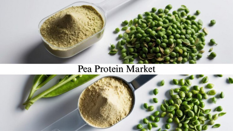Pea Protein Market Size, Share, Opportunities and Competitive Forecast to 2032