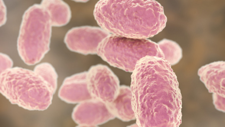 Pertussis Therapeutic Market Gains Momentum Owing to Advanced Vaccine Innovations