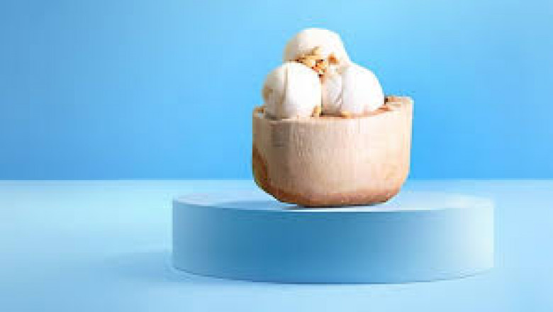 Plant-based Ice Cream Market consumer insights reveal preferences for creamy texture and natural flavors