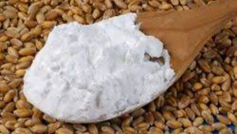 Starch-derived Fiber Market Impacting Factors: Key Influences Shaping Global Demand and Supply