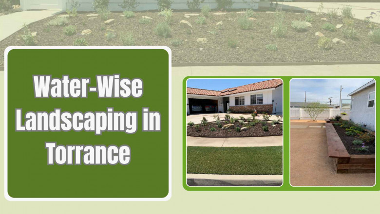 Water-Wise Landscaping in Torrance, CA - Chaman INC